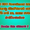 ఎస్బీఐ సీబీఓ రిక్రూట్‌మెంట్ 2025: పూర్తి వివరాలు, అర్హతలు, దరఖాస్తు ప్రక్రియ!